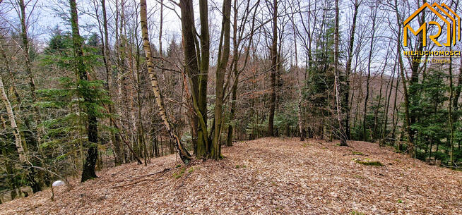 Działka rolna Brzozowa gm. Gromnik