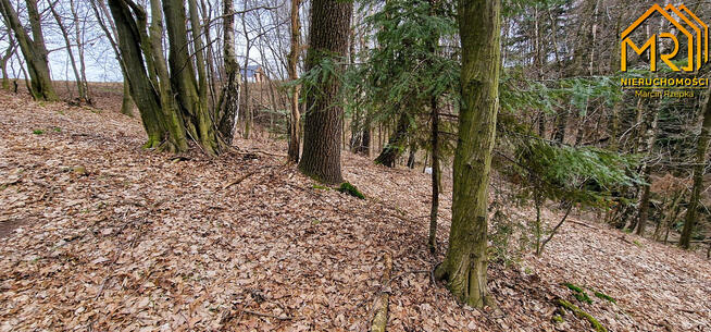 Działka rolna Brzozowa gm. Gromnik