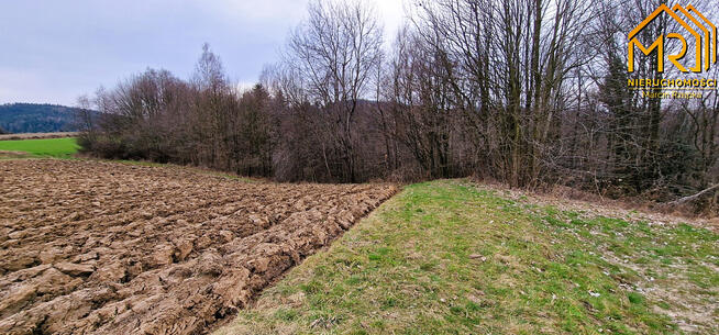 Działka rolna Brzozowa gm. Gromnik