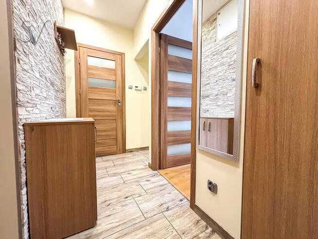 1300 ALL | Pet Friendly | Internet Piwnica w Cenie