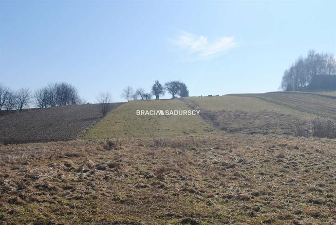 Działka rolna Bodzanów gm. Biskupice