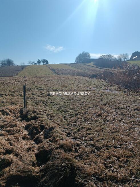 Działka rolna Bodzanów gm. Biskupice