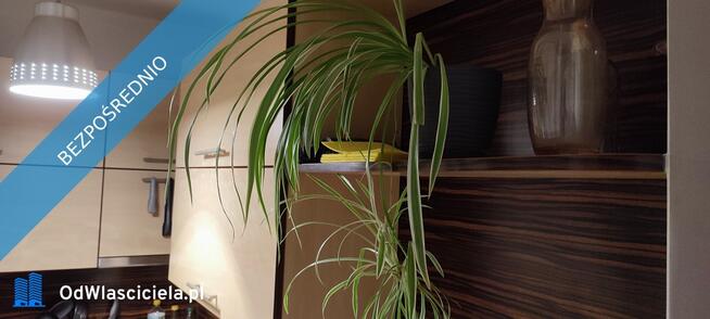 Kawalerka przy Mazowieckiej w Krakowie