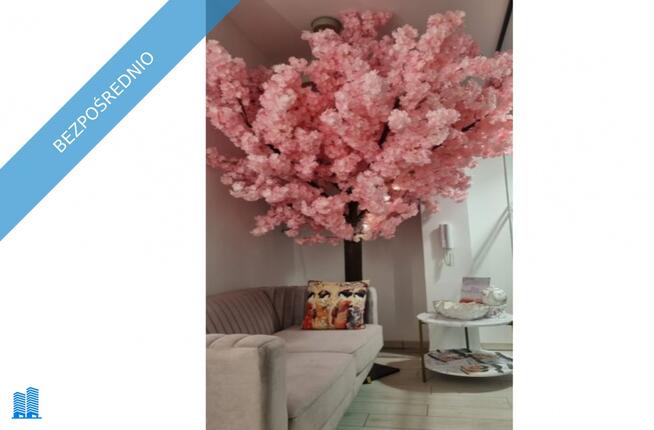 Do wynajęcia gabinet kosmetyczny YASUMI ARENA KRAKÓW