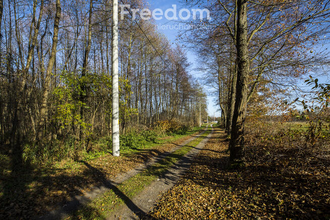 Działka 2883 m² przy lesie – Tarnobrzeg Ocice