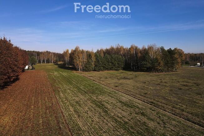 Działka 2883 m² przy lesie – Tarnobrzeg Ocice