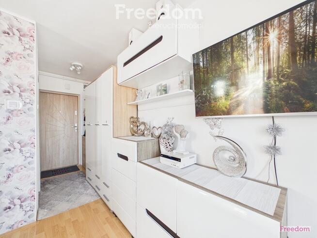 Mały metraż, wielki potencjał