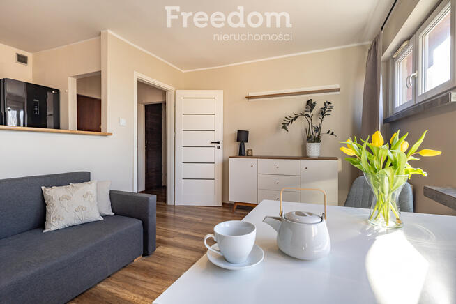 Mieszkanie | 2 pokoje | Rataje | widok na Wartę