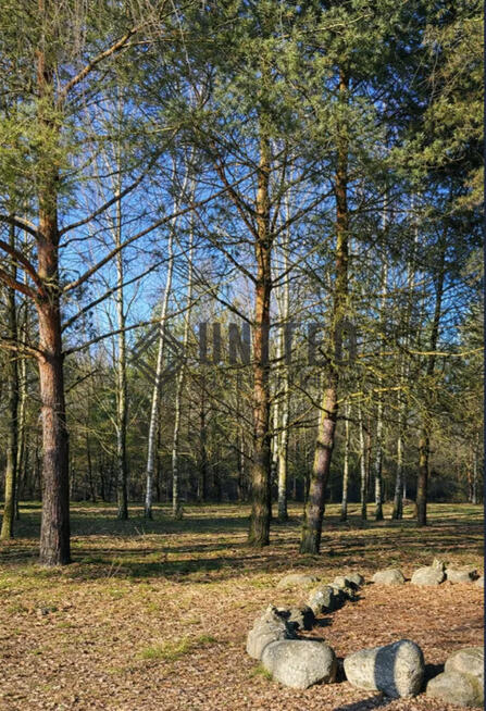 Dom Wolnostojący okolice Obornik Śląskich