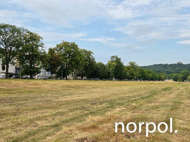 Lokal 75 m² na wynajem przy Błoniach – prestiż, ruch i świetna lokalizacja.