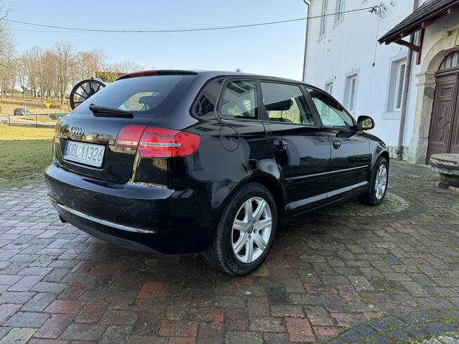 Audi A3 1.6MPI 102KM Sportback z Niemiec Zadbany Facelift