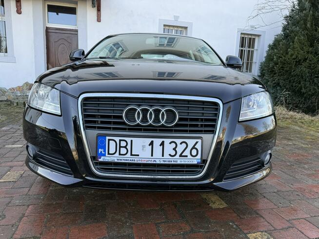 Audi A3 1.6MPI 102KM Sportback z Niemiec Zadbany Facelift