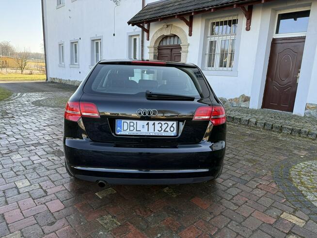 Audi A3 1.6MPI 102KM Sportback z Niemiec Zadbany Facelift