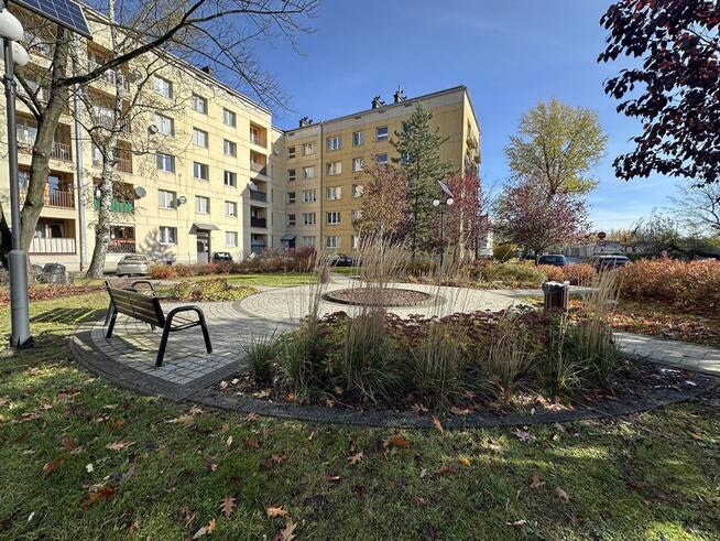 Katowice 3 pokoje możliwość zrobienia 4