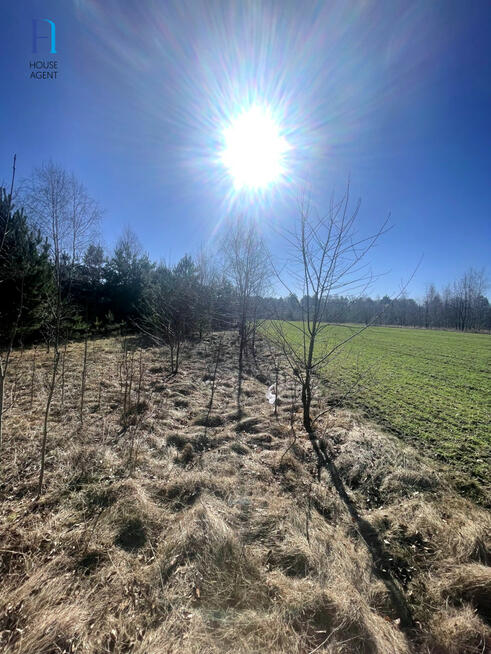 Działka budowlana Janów gm. Bełchatów,