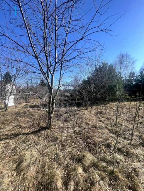 Działka budowlana Janów gm. Bełchatów,