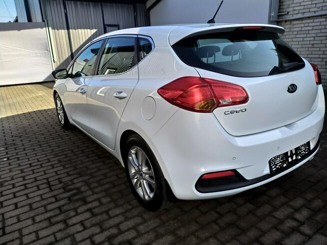 Kia Cee'd 1.6 Gdi Automat Ledy Grzane Fotele i Kierownica Zarejestrowany