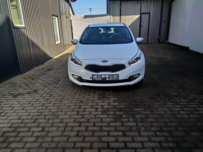 Kia Cee'd 1.6 Gdi Automat Ledy Grzane Fotele i Kierownica Zarejestrowany