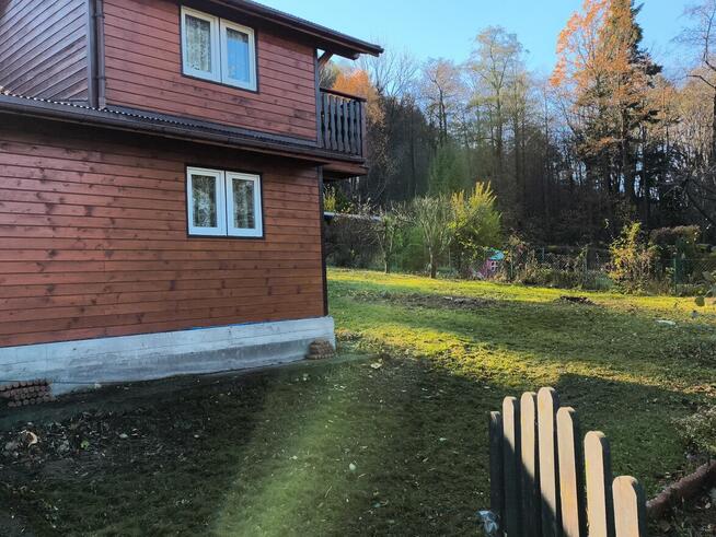 Usługi ogrodnicze Porządkowanie działek Wycinki drzew