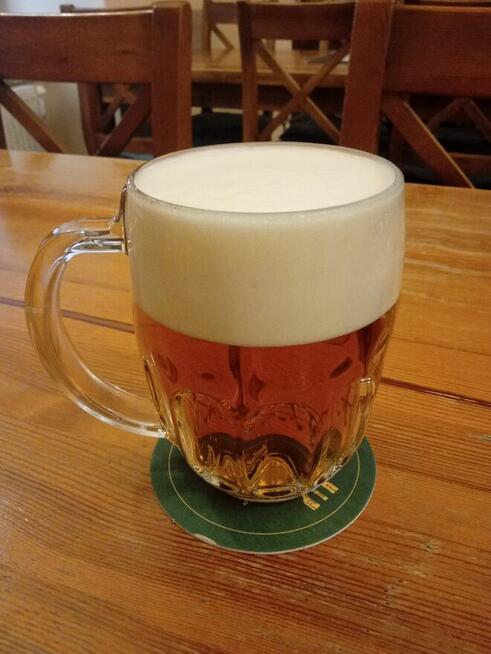 Pan szuka niskiej kobiecej Transki na dłużej