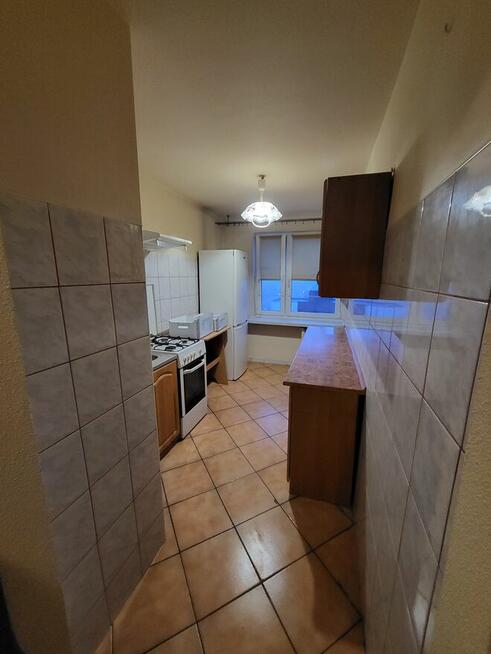 Mieszkanie do wynajecia