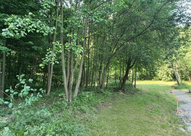 Zaciszna działka z prywatnym lasem i strumykiem: https://you