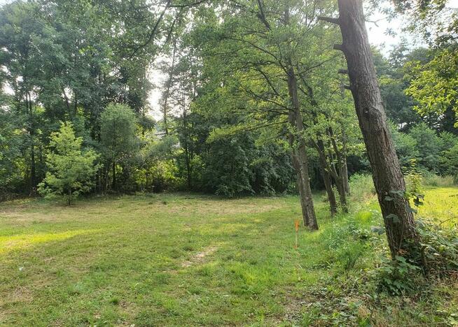 Zaciszna działka z prywatnym lasem i strumykiem: https://you