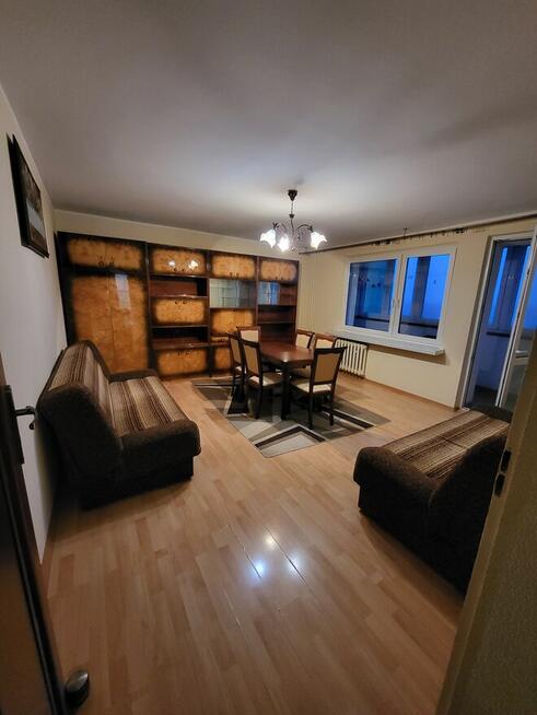 Mieszkanie do wynajecia