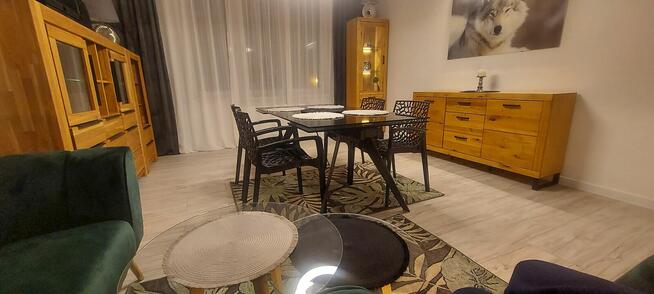 Wynajmę 2 pokoje + kuchnia + hol w Centrum Sosnowca