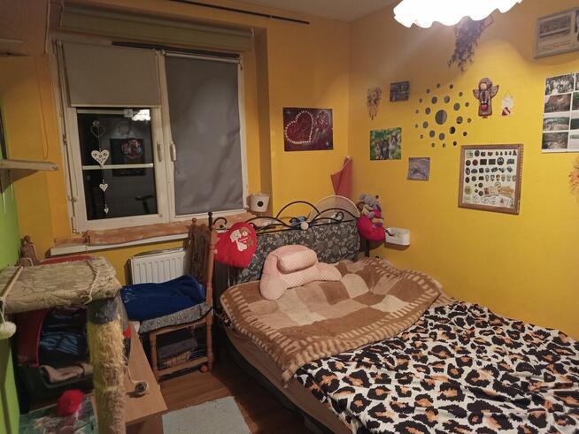 Zamienię mieszkanie komunalne