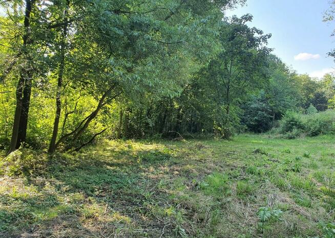 Zaciszna działka z prywatnym lasem i strumykiem: https://you