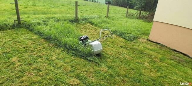 Usługi ogrodnicze Porządkowanie działek Wycinki drzew