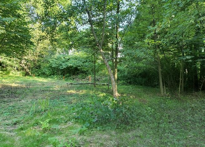 Zaciszna działka z prywatnym lasem i strumykiem: https://you