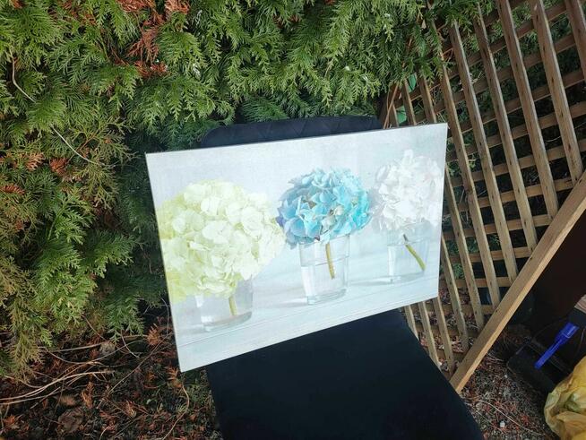 Obraz Ścienny na ścianę kwiaty hortensja obrazek wazon biały