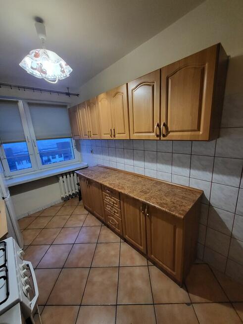 Mieszkanie do wynajecia