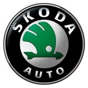 DIAGNOSTYKA KOMPUTEROWA AUDI VW SKODA SEAT PROFESJONALNIE