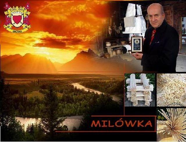 PATYCZKI DO WATY CUKROWE CHORĄGIEWEK I ZIEMNIAKÓW SKRĘCANYCH