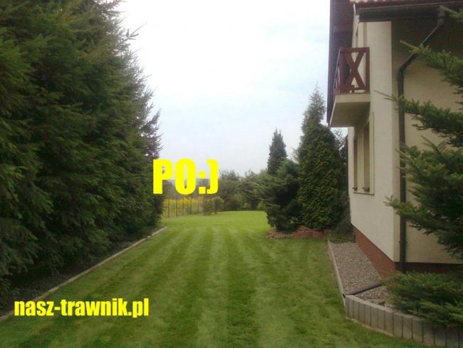 pielęgnacja trawnika. trawnik. trawniki kraków. nawożenie