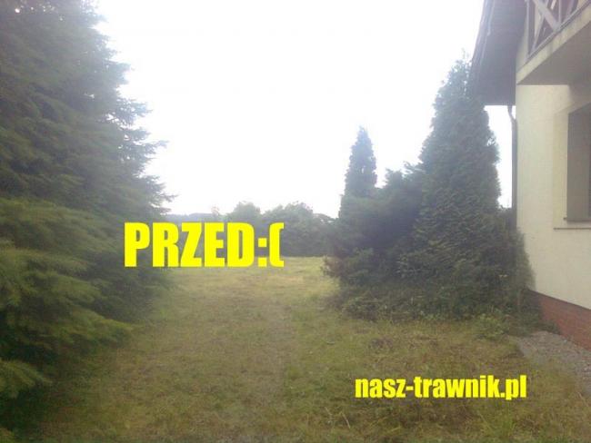 pielęgnacja trawnika. trawnik. trawniki kraków. nawożenie