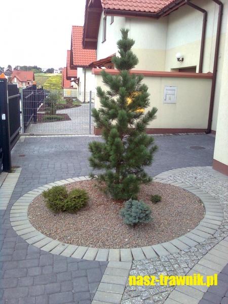 pielęgnacja trawnika. trawnik. trawniki kraków. nawożenie