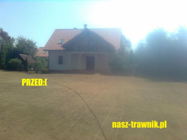 regeneracja trawnika aeracja wertykulacja trawniki