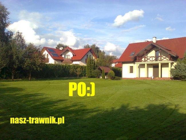 regeneracja trawnika aeracja wertykulacja trawniki