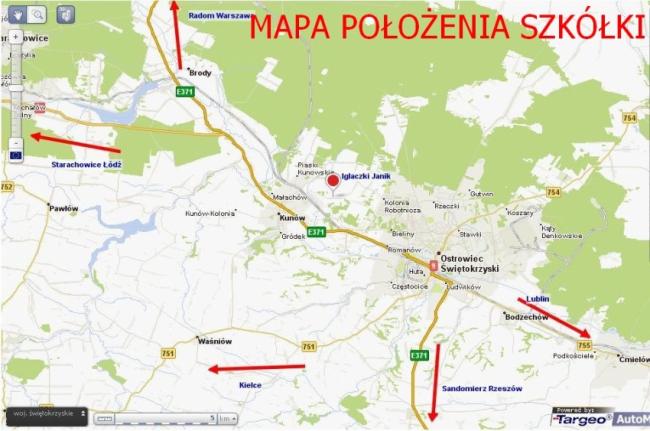 Iglaki drzewa i krzewy ozdobne.Tuja, thuja, świerk, jodła, s