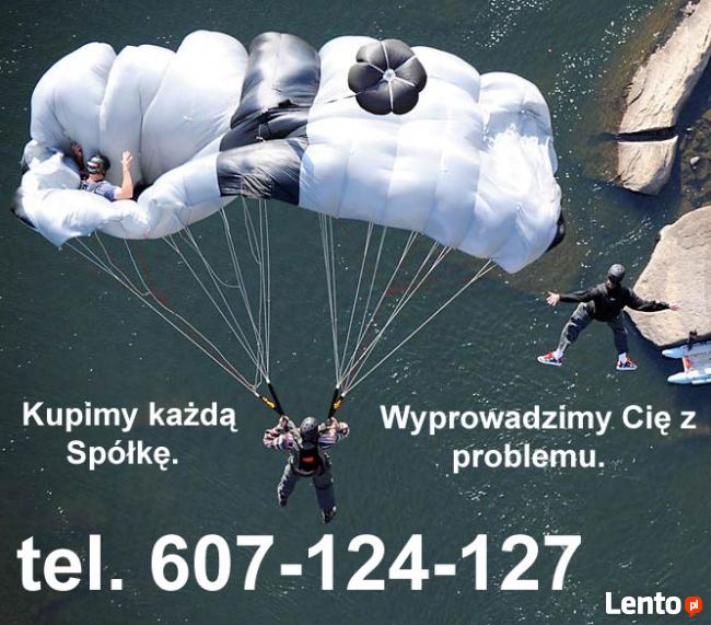 Jak Sprzedać Kupić Zadłużoną Spółkę ZOO 608-124-127