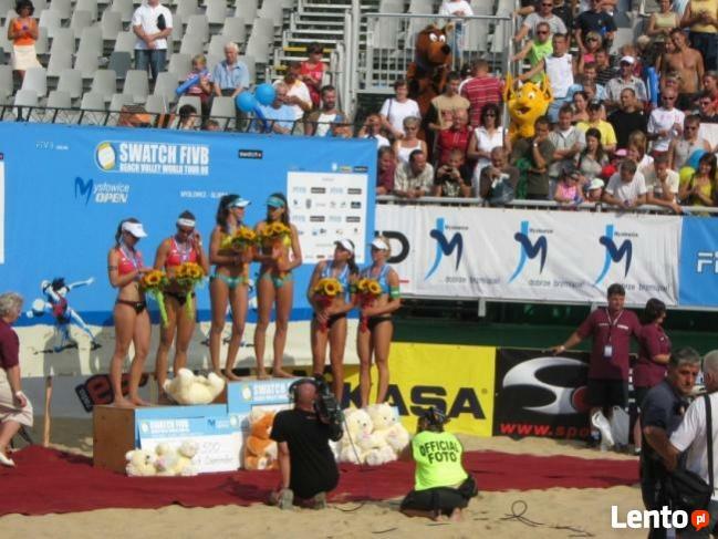 Bajkowe Postacie -Stroje reklamowe, dzień dziecka...