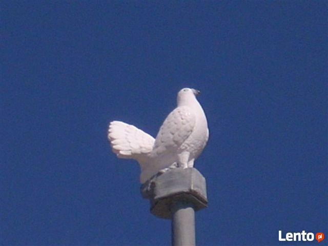 Cięcie Betonu, Wiercenie w betonie TORUŃ tel. 500200448