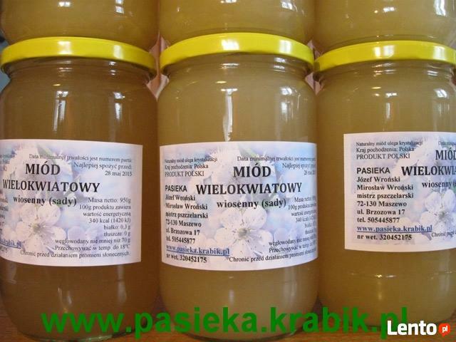 Miód polski z pasieki Maszewo - Krabik