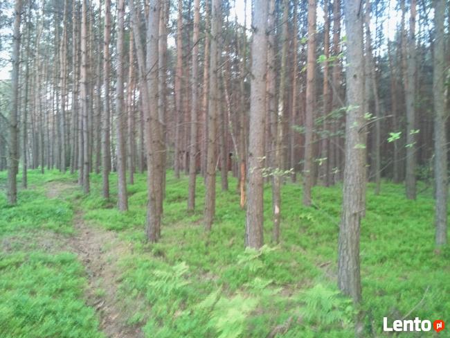 Działka 5200m 30km od Warszawy