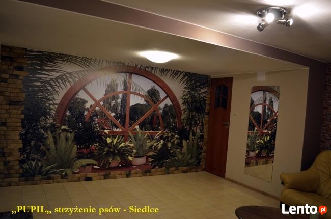 STRZYŻENIE PSÓW GROOMER SIEDLCE Salonik ,, PUPIL ,,