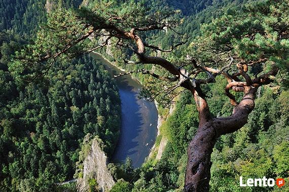 Udany wypoczynek w Pieninach